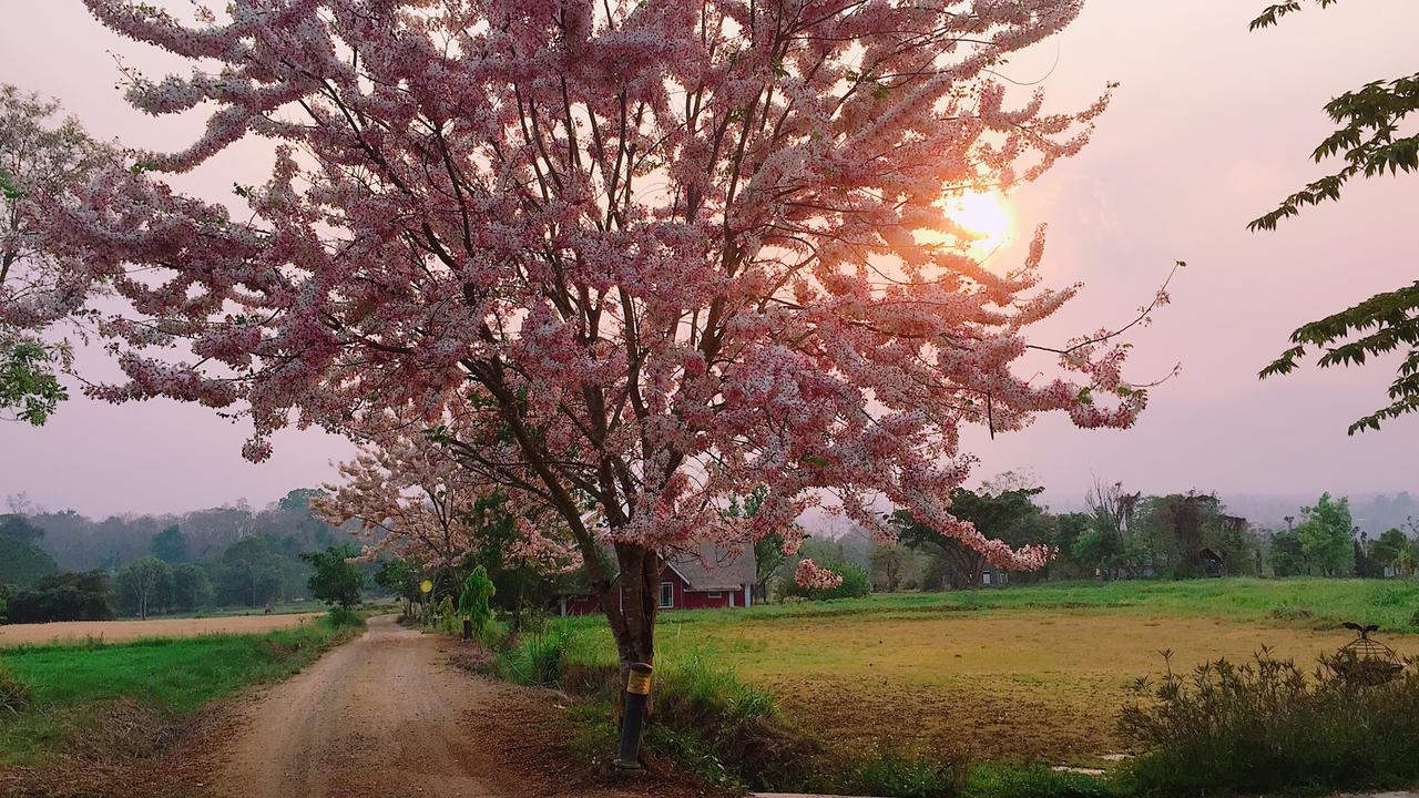 Romance - Another Story In Pai Bagian luar foto